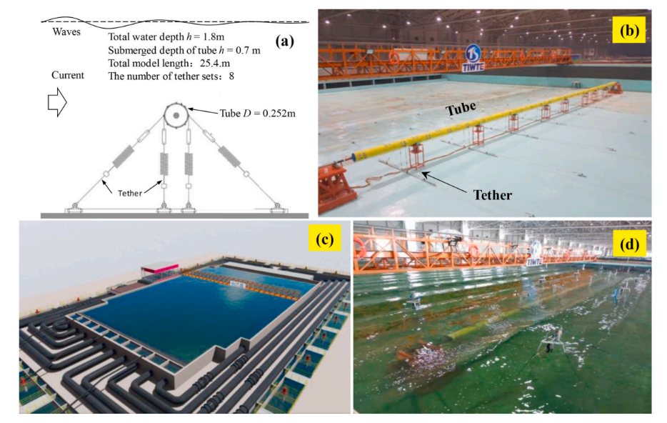 Global hydroelastic model test of SFT